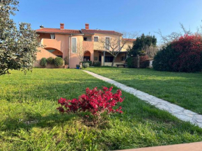 Bonvenon2Volme Apt&Room